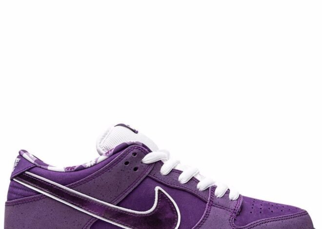 NIKE X Concepts Sb Dunk Low