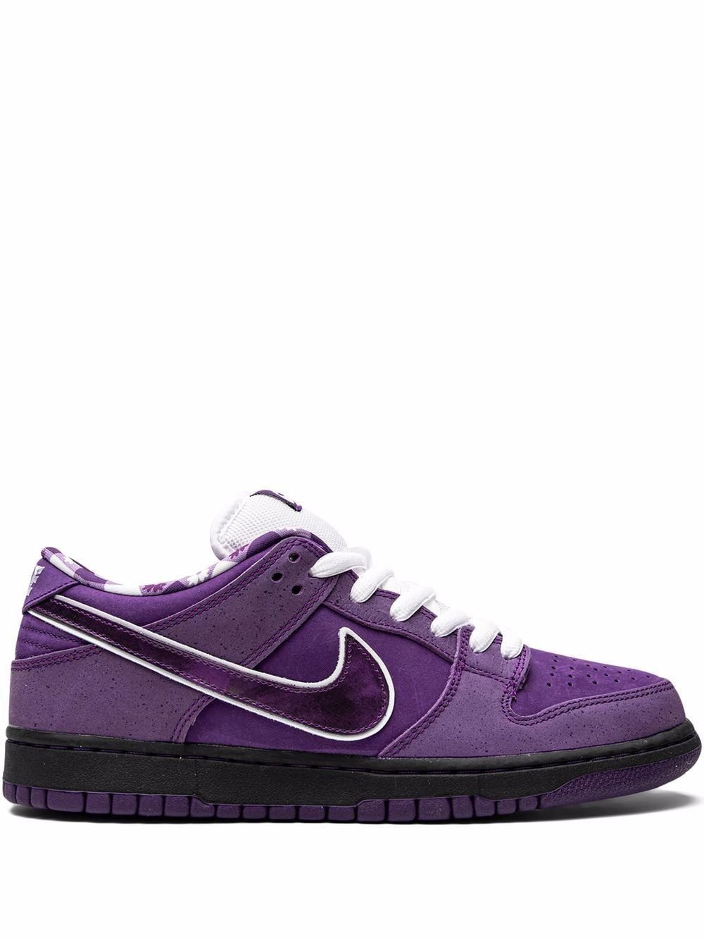 NIKE X Concepts Sb Dunk Low